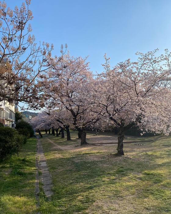 画像263